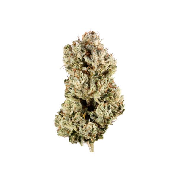 7G OOOHWEE 20.70% THC FLOWER HYBRID SILVER BLACK ATTACK CULTIVATION