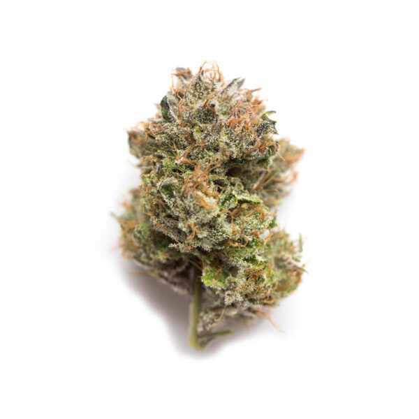 10G RISE UP 14.93% THC FLOWER SILVER BLACK ATTACK HYBRID