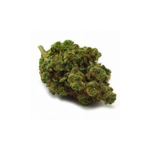 3.5G BUTTER CAKE CUT IT 17.21% THC FLOWER (INDICA)